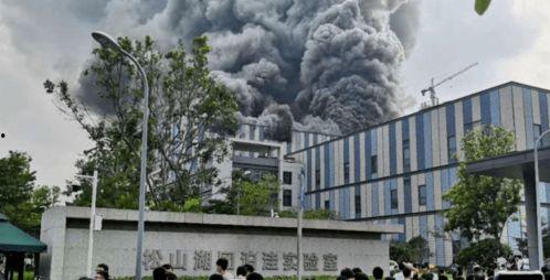 东莞国贸爆料最新消息今天,今日热点事件深度解析!” 第2张 东莞国贸爆料最新消息今天,今日热点事件深度解析!” 第2张